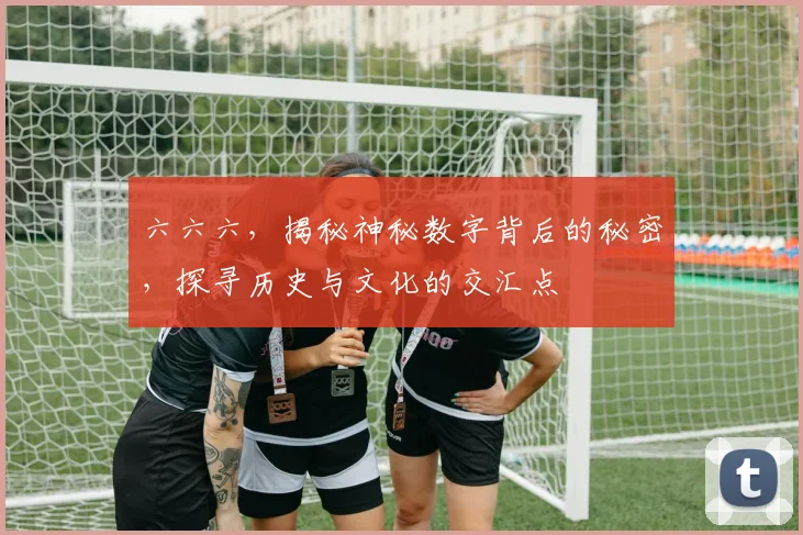 六六六，揭秘神秘数字背后的秘密，探寻历史与文化的交汇点