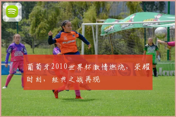 葡萄牙2010世界杯激情燃烧，荣耀时刻，经典之战再现