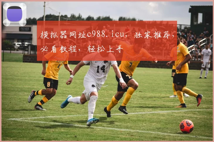 模拟器网址c988.icu，独家推荐，必看教程，轻松上手
