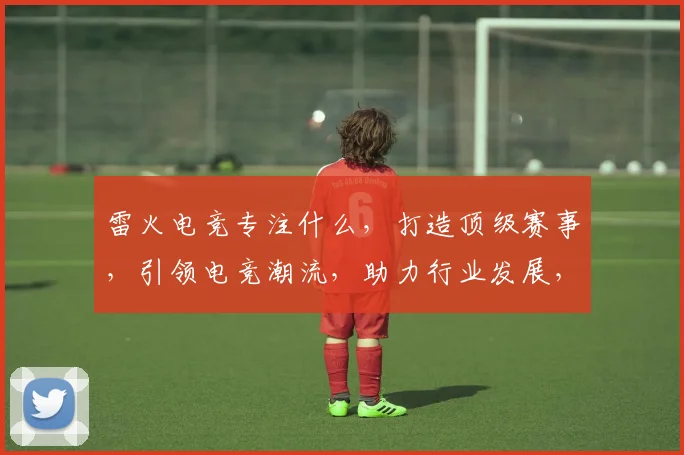 雷火电竞专注什么，打造顶级赛事，引领电竞潮流，助力行业发展，三面开花