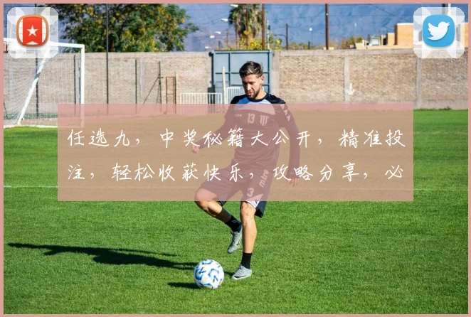 任选九，中奖秘籍大公开，精准投注，轻松收获快乐，攻略分享，必看
