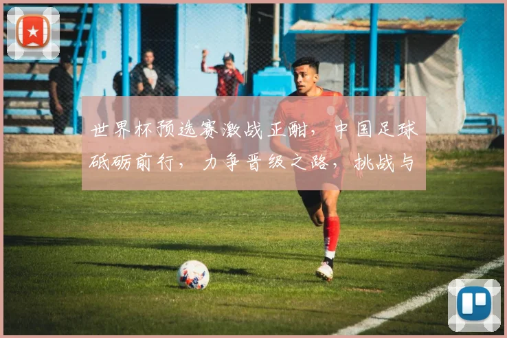 世界杯预选赛激战正酣，中国足球砥砺前行，力争晋级之路，挑战与机遇并存，全力冲刺